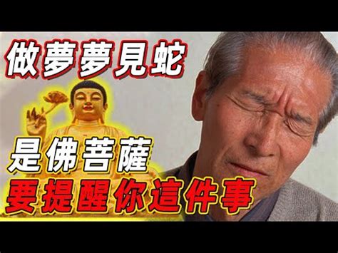 蛇代表什麼|【看見蛇代表什麼】看見蛇代表什麼？民俗專家揭露傳統文化中的。